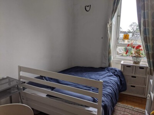 scottish-traditional-glasgow-flat-glasgow-127204847720240815044459AM