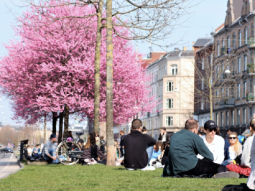 Amazing and affordable apartment 