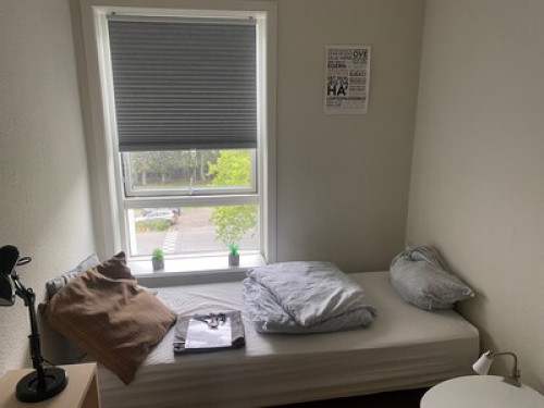 Cosy room