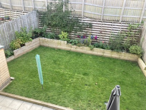 family-home-with-loveable-lab-edinburgh-121354332120240815044532AM