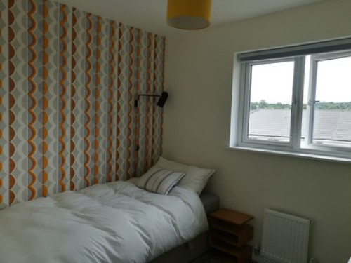 Clean Simple Room - Gallery - 5