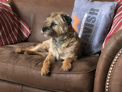 home-from-home-happy-house-edinburgh-203245410120240815044632AM