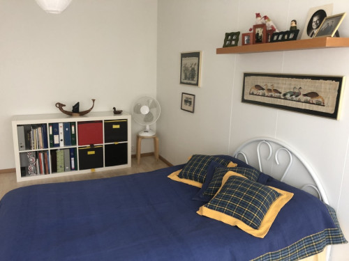 Semi luxury and cosy appartment in  - Gallery - 7