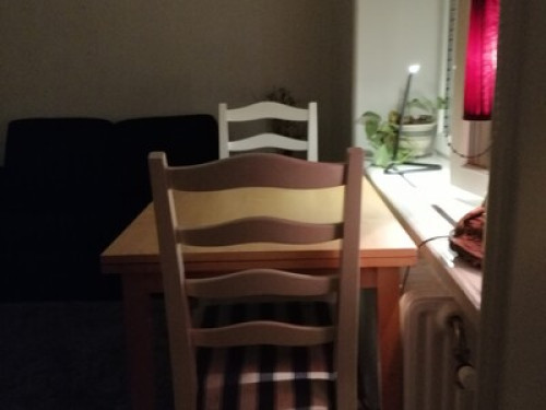 Downtown apartment centrally locate