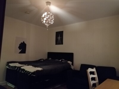 Downtown apartment centrally locate