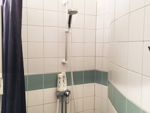 Downtown apartment centrally locate