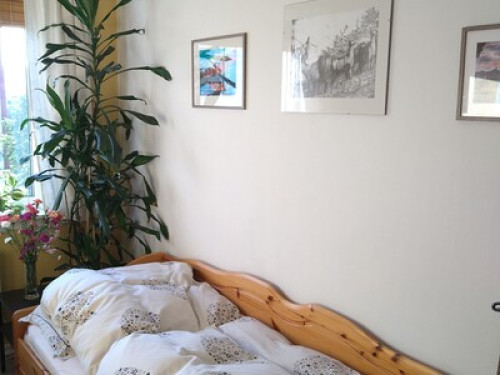 Room with a view - Gallery - 8