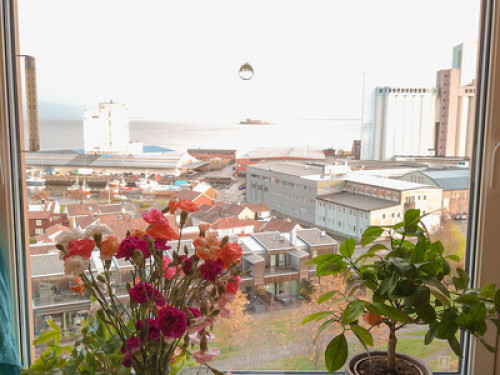Room with a view  - Gallery -  5