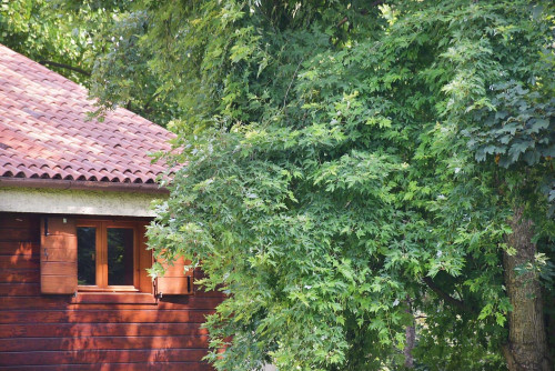 Importante villa moderna di architettura con grande parco - Treviso