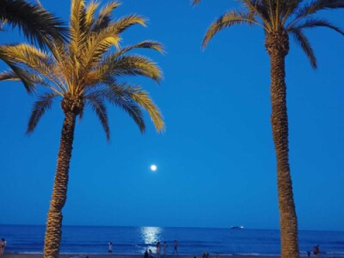 Lovely place in a nice area & sea! - Gallery - 20