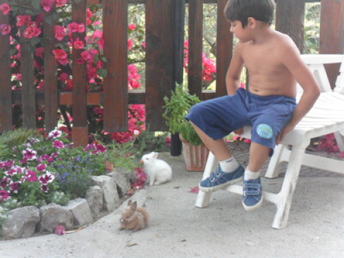 Family or couples looking to relax - Gallery - 12