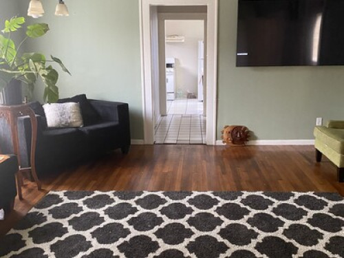 Quiet Urban Stay 