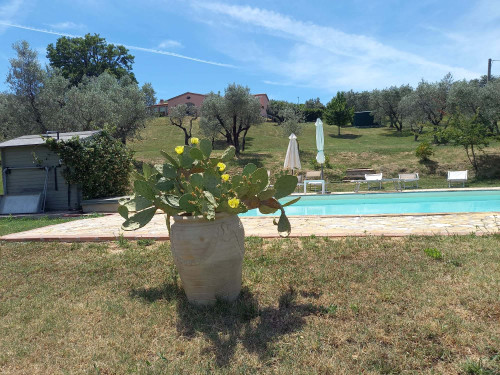 Apartment in Via Capitonese, Narni Scalo for 400 m² with 3 bedrooms - Gallery - 12