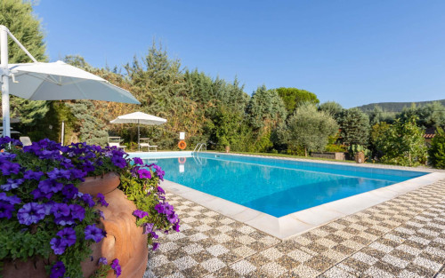 Villa Mimosa - Gallery - 50