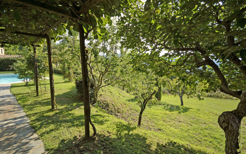 Villa Magnolia - Gallery - 68