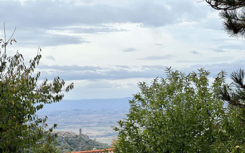 Villa Luana - Gallery - 32