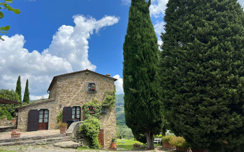 Villa Patrizia - Gallery - 45