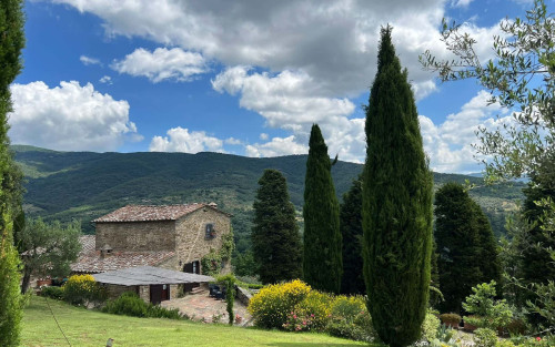 Villa Patrizia - Gallery - 35