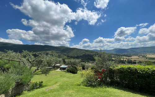 Villa Patrizia - Gallery - 59