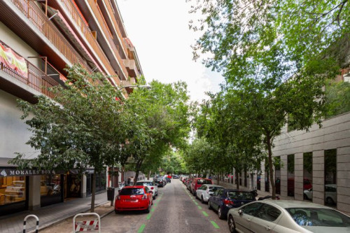 C/Rafael Herrera, 3 6ºC, Habitación 4