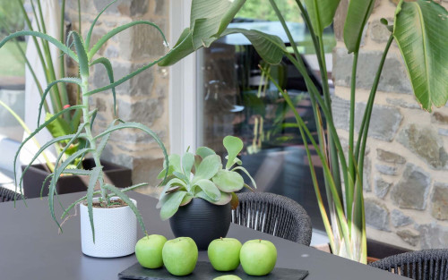Villa Lilli - Gallery - 19