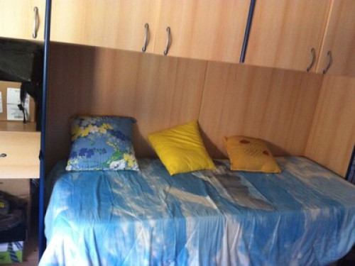 peaceful and relaxing near the sea