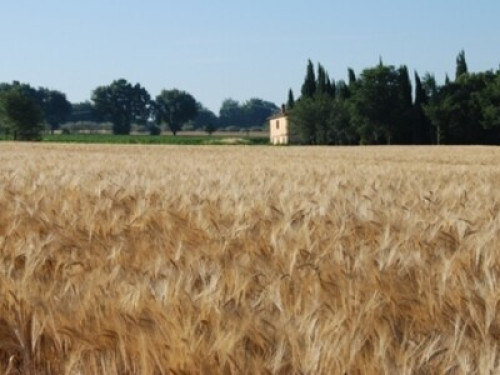 quietness and culture in Tuscany  - Gallery -  5