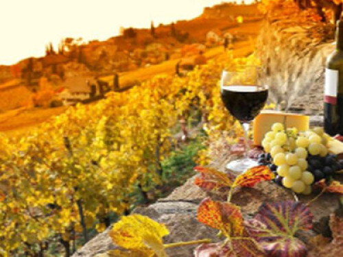Experience the culture in Tuscany - Gallery - 10