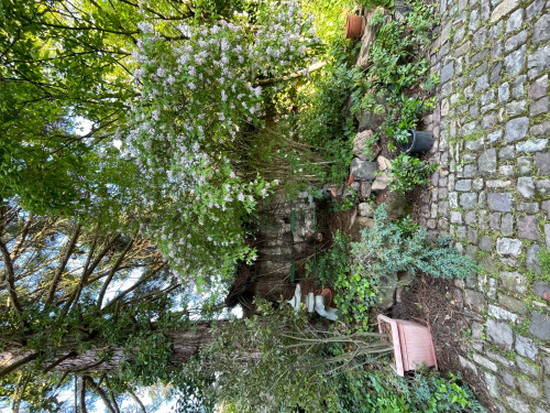 Wohnung am Donnersberg - Gallery - 26