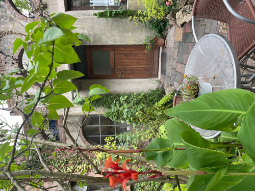 Wohnung am Donnersberg - Gallery - 23