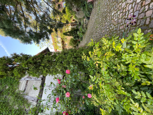 Wohnung am Donnersberg - Gallery - 27