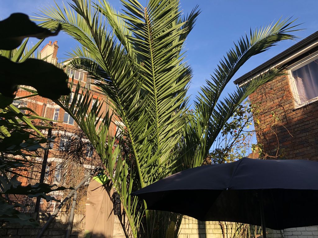 Rua Professor Jorge da Silva Horta, Lisbon