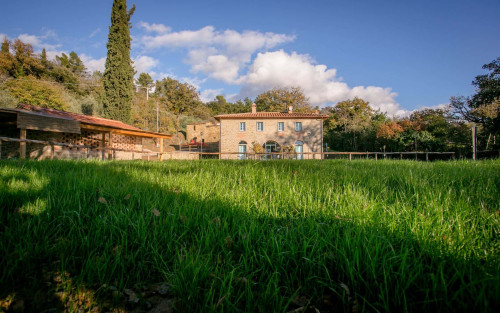 Villa La Capannina - Gallery - 23