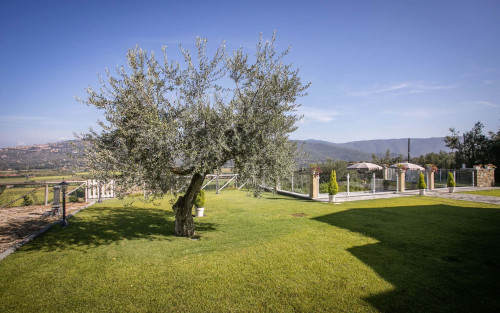 Villa Chiara - Gallery - 26