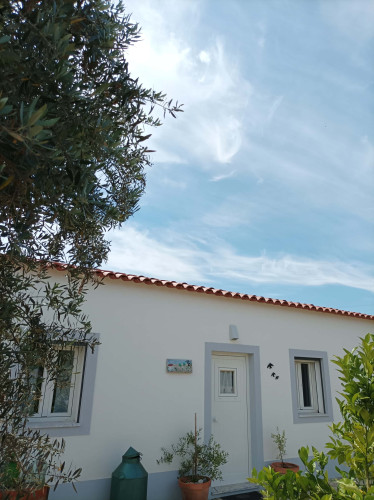 CASA DAS OLIVEIRAS Spacious & Confy Country-House in private sustainable family property amidst nature in Baixo-Alentejo Inland - PORTUGAL - Gallery - 31