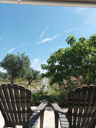 CASA DAS OLIVEIRAS Spacious & Confy Country-House in private sustainable family property amidst nature in Baixo-Alentejo Inland - PORTUGAL - Gallery - 26