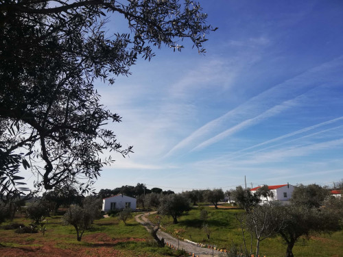 CASA DAS OLIVEIRAS Spacious & Confy Country-House in private sustainable family property amidst nature in Baixo-Alentejo Inland - PORTUGAL - Gallery - 64