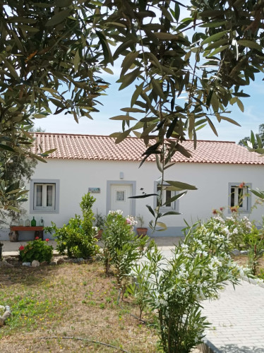 CASA DAS OLIVEIRAS Spacious & Confy Country-House in private sustainable family property amidst nature in Baixo-Alentejo Inland - PORTUGAL - Gallery - 35