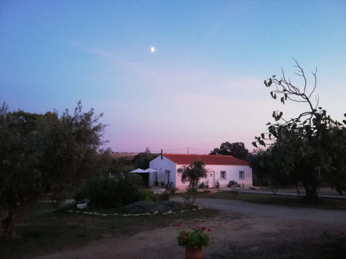 CASA DAS OLIVEIRAS Spacious & Confy Country-House in private sustainable family property amidst nature in Baixo-Alentejo Inland - PORTUGAL - Gallery - 52