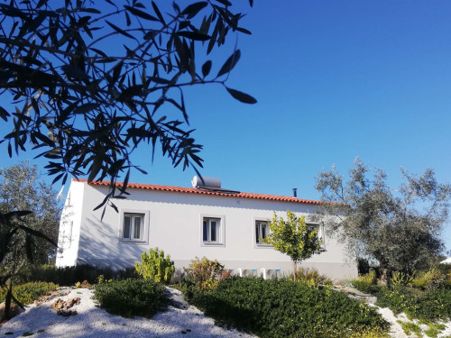CASA DAS OLIVEIRAS Spacious & Confy Country-House in private sustainable family property amidst nature in Baixo-Alentejo Inland - PORTUGAL - Gallery - 53