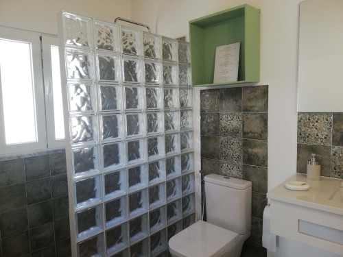 CASA DAS OLIVEIRAS Spacious & Confy Country-House in private sustainable family property amidst nature in Baixo-Alentejo Inland - PORTUGAL - Gallery - 59