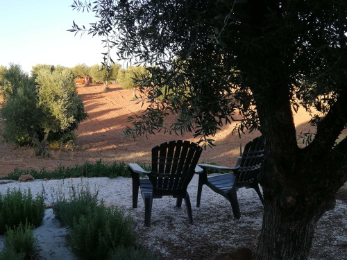 CASA DAS OLIVEIRAS Spacious & Confy Country-House in private sustainable family property amidst nature in Baixo-Alentejo Inland - PORTUGAL - Gallery - 54