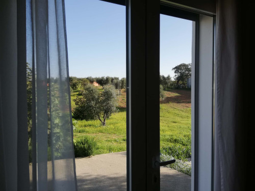 CASA DAS OLIVEIRAS Spacious & Confy Country-House in private sustainable family property amidst nature in Baixo-Alentejo Inland - PORTUGAL