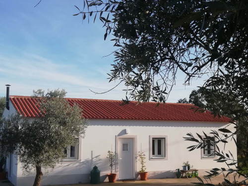 CASA DAS OLIVEIRAS Spacious & Confy Country-House in private sustainable family property amidst nature in Baixo-Alentejo Inland - PORTUGAL - Gallery - 58