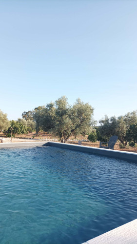 CASA DAS OLIVEIRAS Spacious & Confy Country-House in private sustainable family property amidst nature in Baixo-Alentejo Inland - PORTUGAL - Gallery - 40