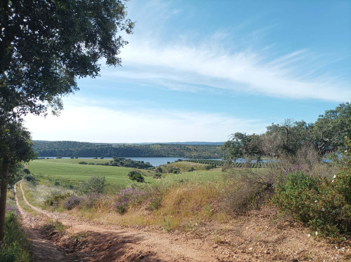 CASA DAS OLIVEIRAS Spacious & Confy Country-House in private sustainable family property amidst nature in Baixo-Alentejo Inland - PORTUGAL - Gallery - 25