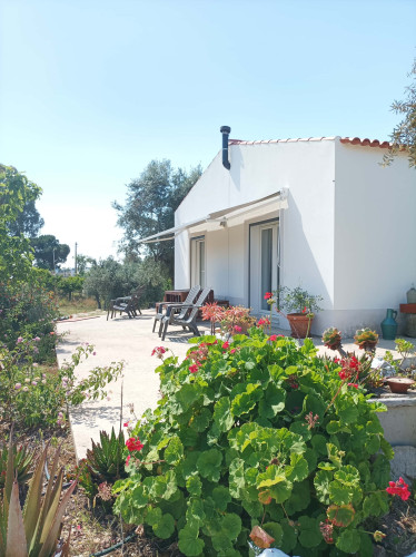 CASA DAS OLIVEIRAS Spacious & Confy Country-House in private sustainable family property amidst nature in Baixo-Alentejo Inland - PORTUGAL - Gallery - 30