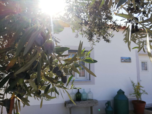 CASA DAS OLIVEIRAS Spacious & Confy Country-House in private sustainable family property amidst nature in Baixo-Alentejo Inland - PORTUGAL - Gallery - 50
