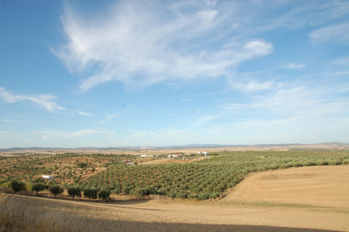 CASA DAS OLIVEIRAS Spacious & Confy Country-House in private sustainable family property amidst nature in Baixo-Alentejo Inland - PORTUGAL - Gallery - 21