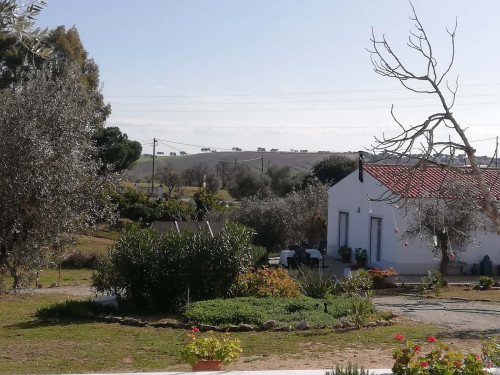 CASA DAS OLIVEIRAS Spacious & Confy Country-House in private sustainable family property amidst nature in Baixo-Alentejo Inland - PORTUGAL - Gallery - 55